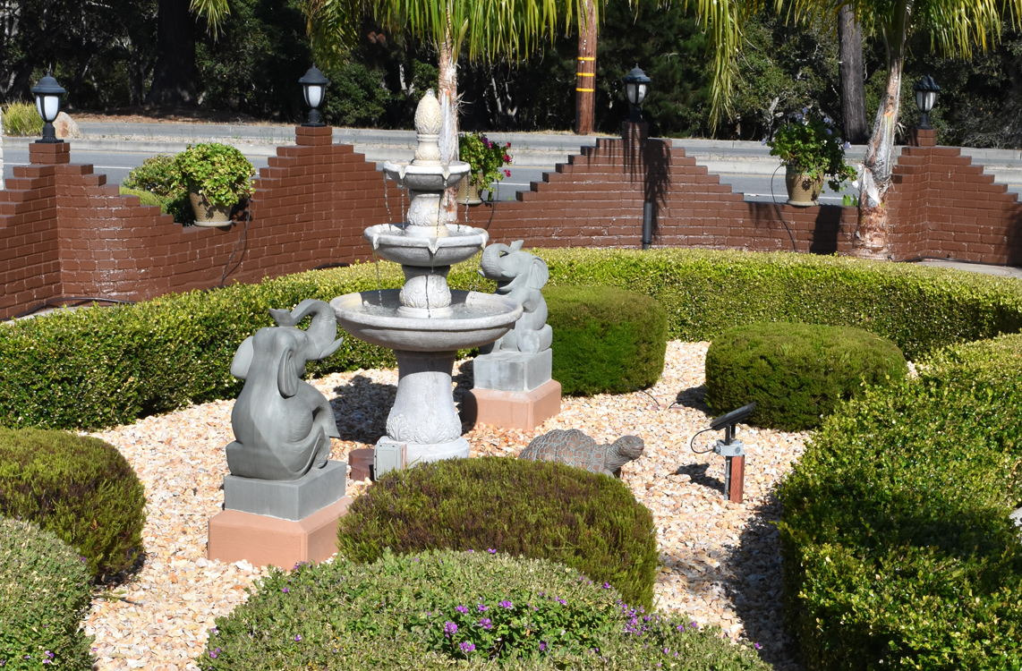 Hotel Garden View