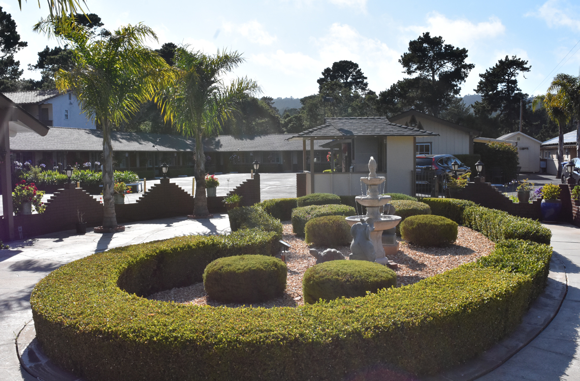 Hotel Garden View