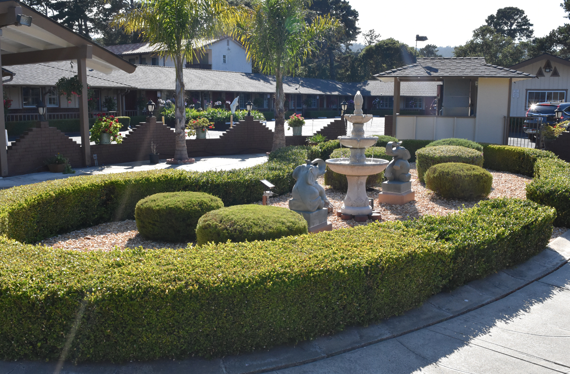 Hotel Garden View