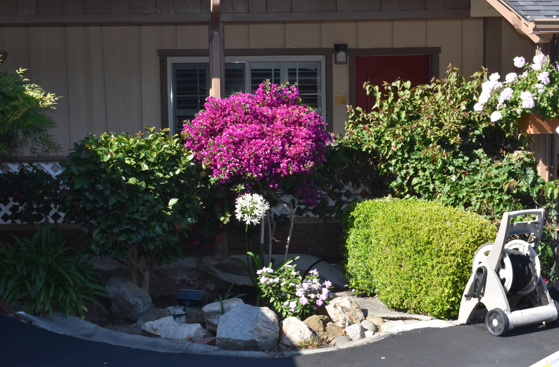 Hotel Garden View